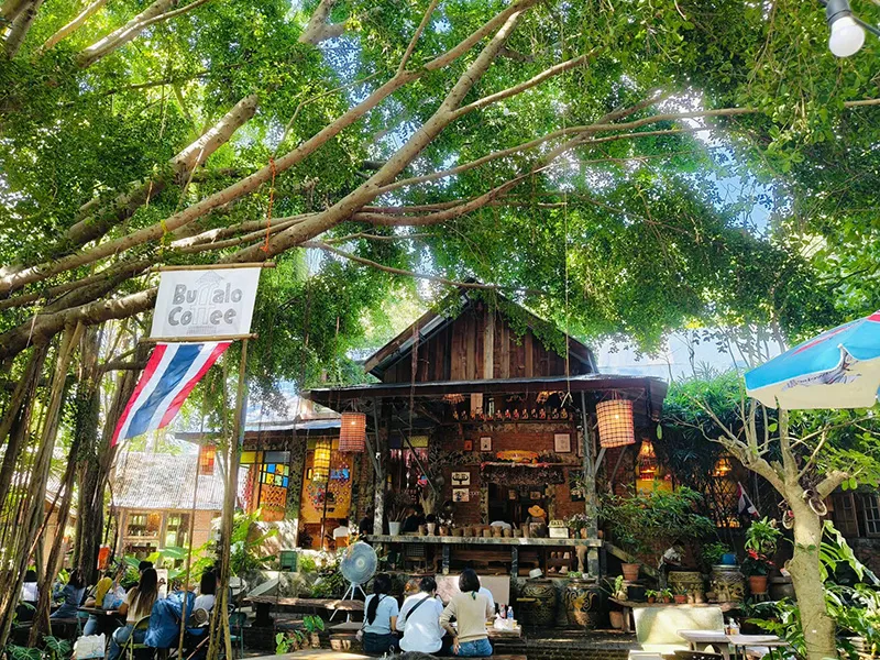 Buffalo Market